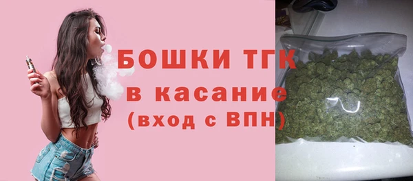 стаф Волосово