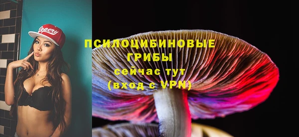 твердый Володарск