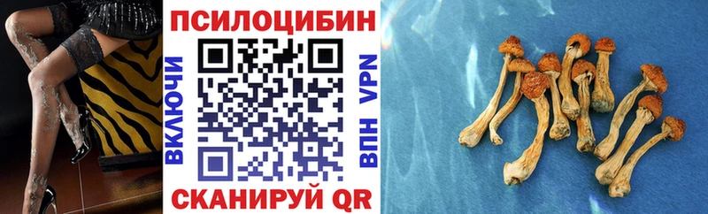 Псилоцибиновые грибы Psilocybe  купить закладку  Долинск 